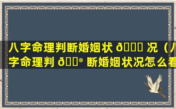 八字命理判断婚姻状 🐛 况（八字命理判 💮 断婚姻状况怎么看）